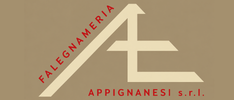 APPIGNANESI