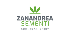 ZANANDREA